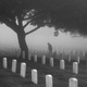 Illustration for article titled Graveyard Shift - Scary Graveyard